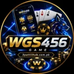 WGS456 Game