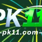 PK11 Game